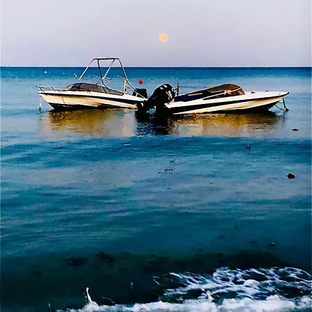 Nicolas 1 라르나카